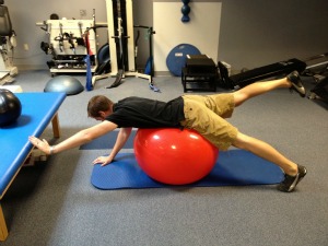 exercise ball birddog